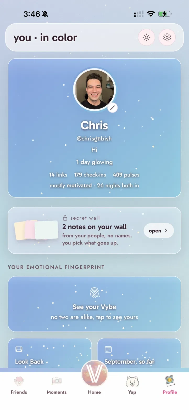 A Vybe profile: the photo in its aura card, and the emotional fingerprint below it.